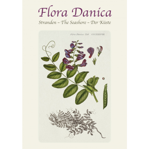 Flora Danica — pochette pour cartes : la plage