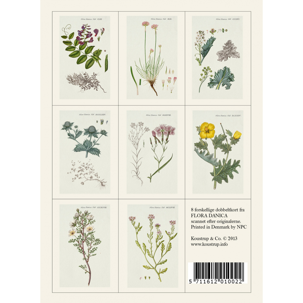 Pochette de cartes Flora Danica - la plage - Image 2