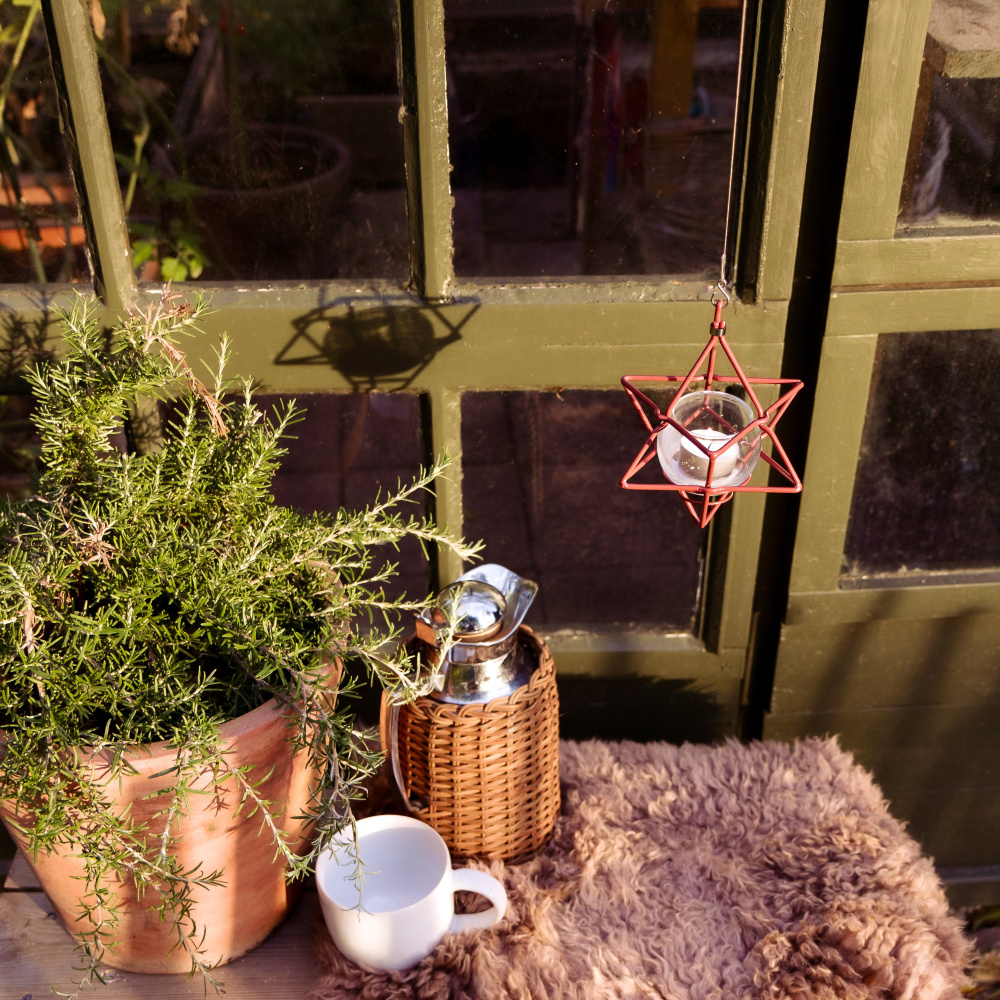 Wildlife Garden ster voor mezenbol - roestrood - Afbeelding 3