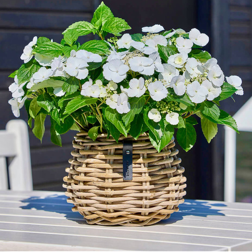 A2 Living rattan kruka - rund