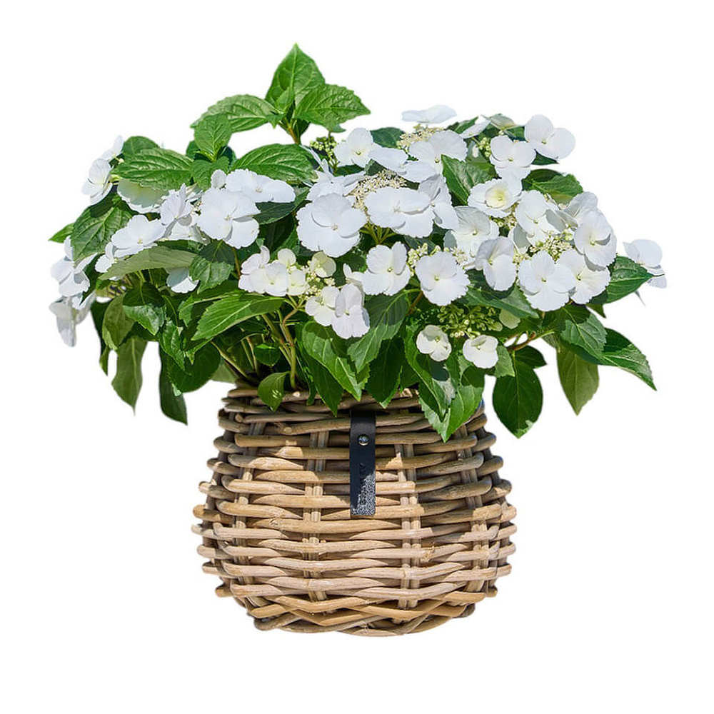 A2 Living rattan urtepotte - rund - Billede 2