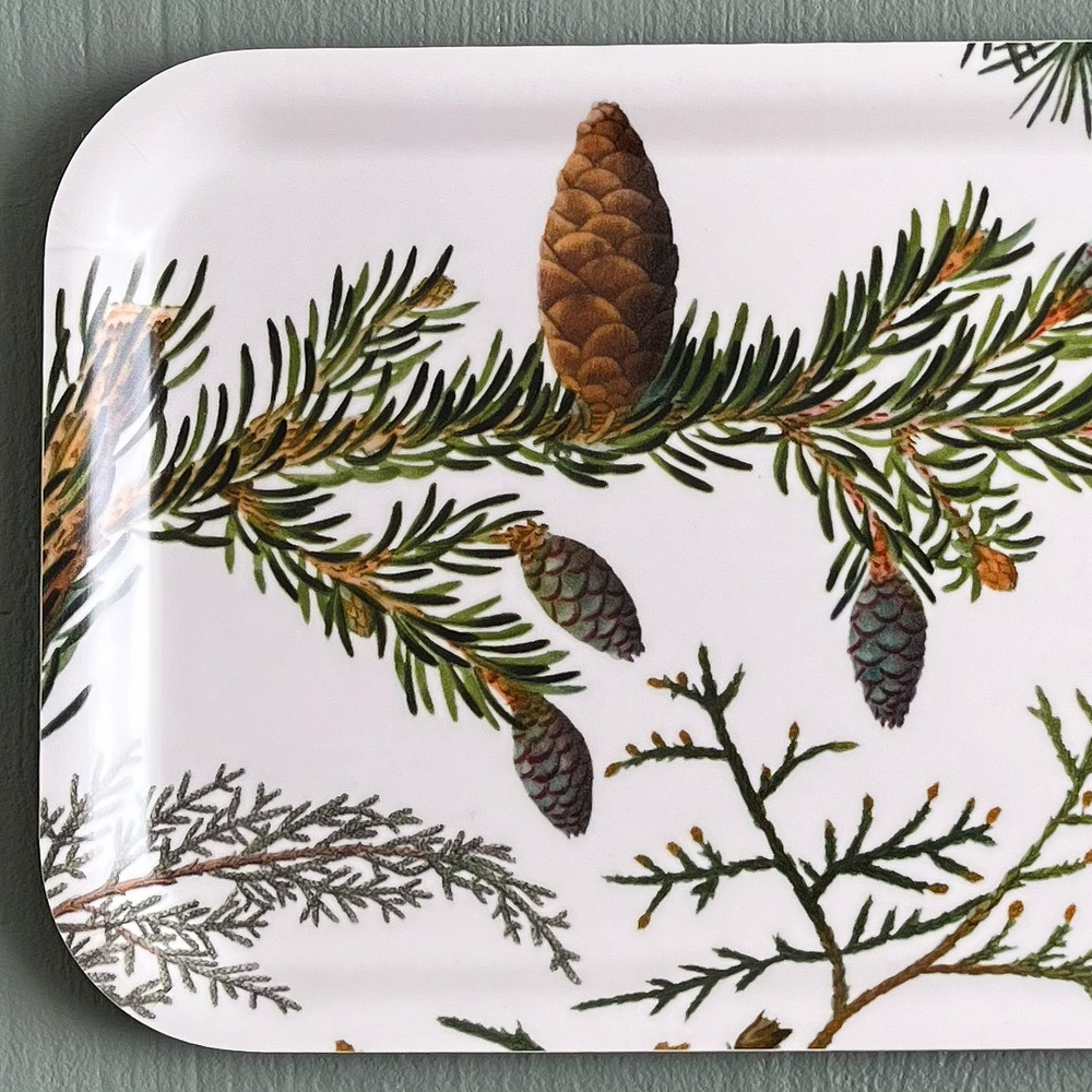 Plateau Koustrup & Co., 32x15 - Pins - Image 2