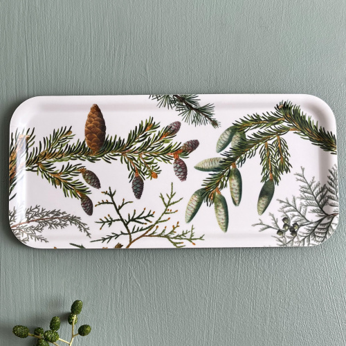 Koustrup & Co. Hügel, 32x15 - Kiefernbäume