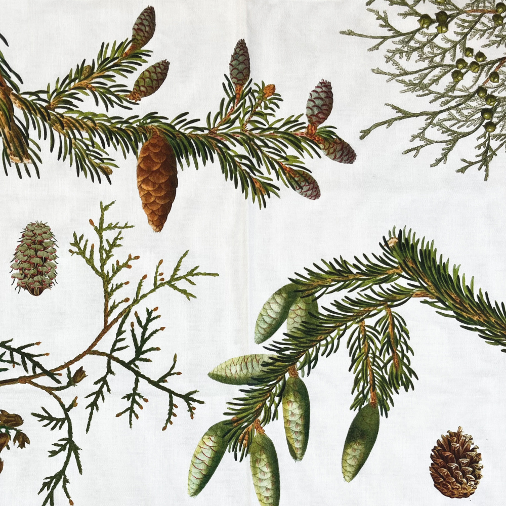 Koustrup & Co. biologische theedoek - Dennenbomen - Afbeelding 4