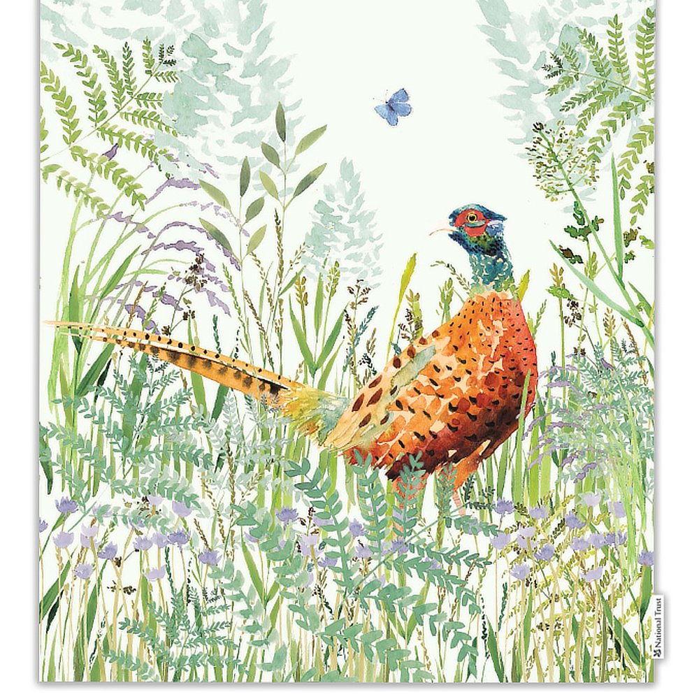 National Trust Bio-Geschirrtuch – Fasan - Bild 2