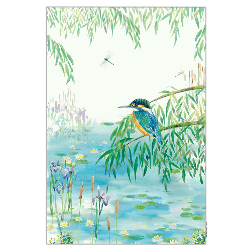 National Trust Öko-Geschirrtuch - Eisvogel