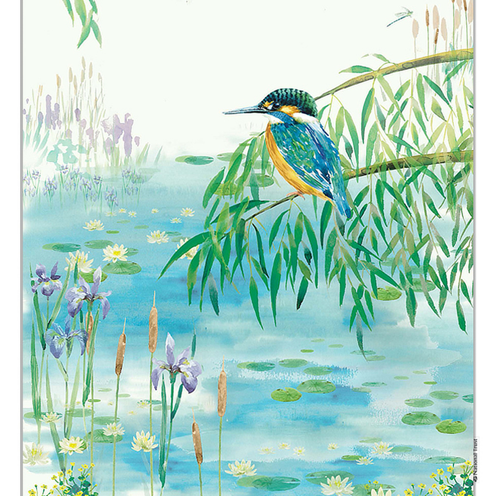 National Trust ekologisk kökshandduk - Kungsfiskare - Bild 2
