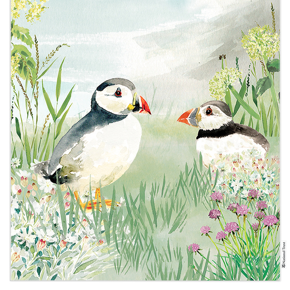 National Trust Bio-Geschirrtuch - Papageitaucher - Bild 5