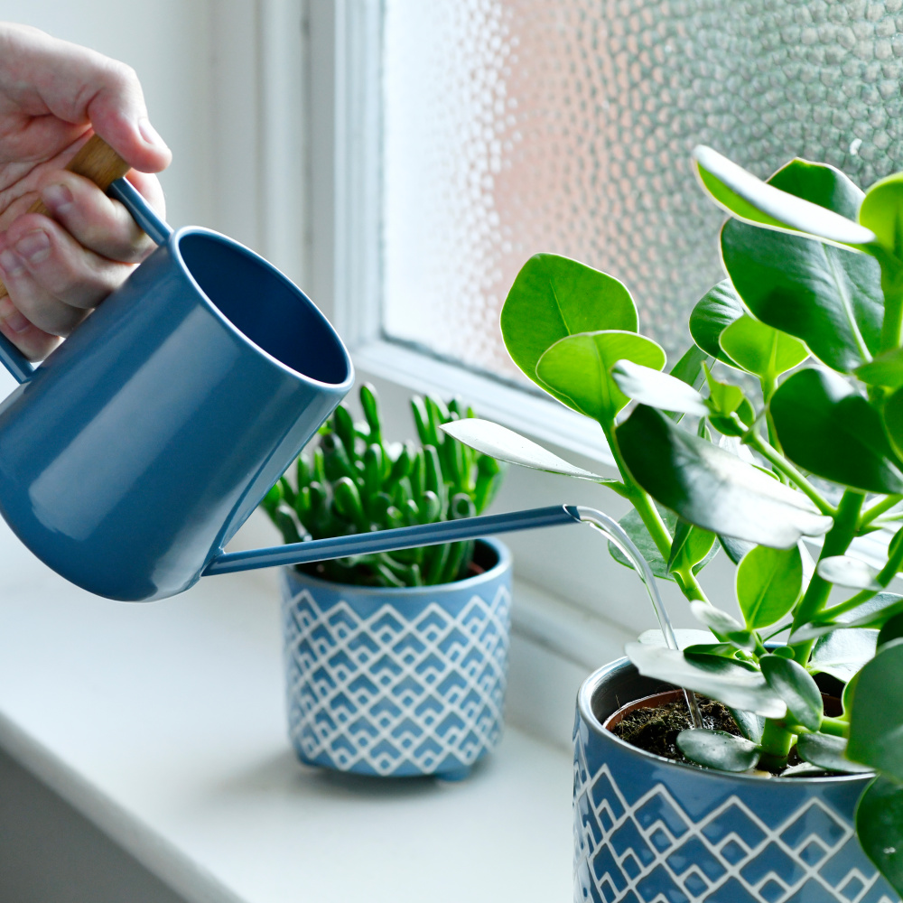 Burgon & Ball 0.7 L watering can - Blue - Image 3