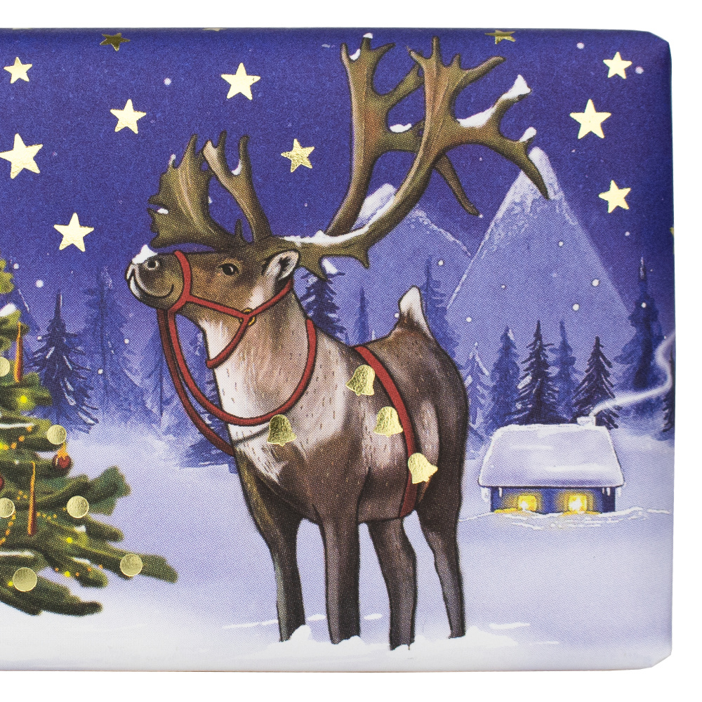 English Soap Co. Hand Soap - Reindeer - Image 4