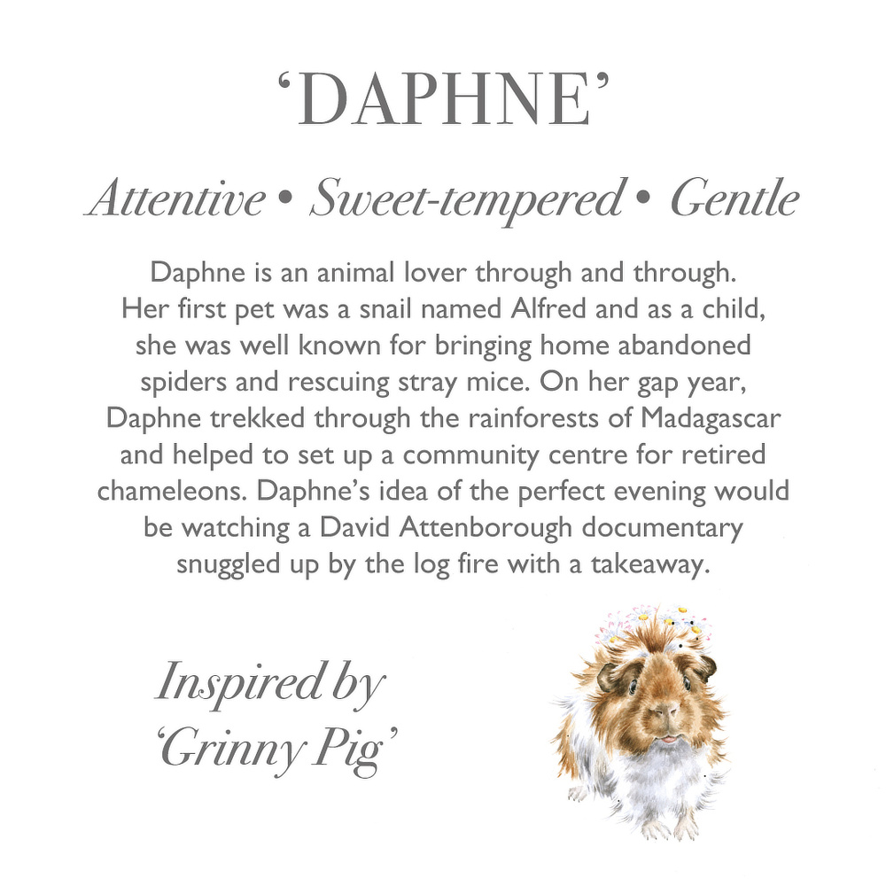 Wrendale knuffel - Cavia, 25 cm - Afbeelding 3