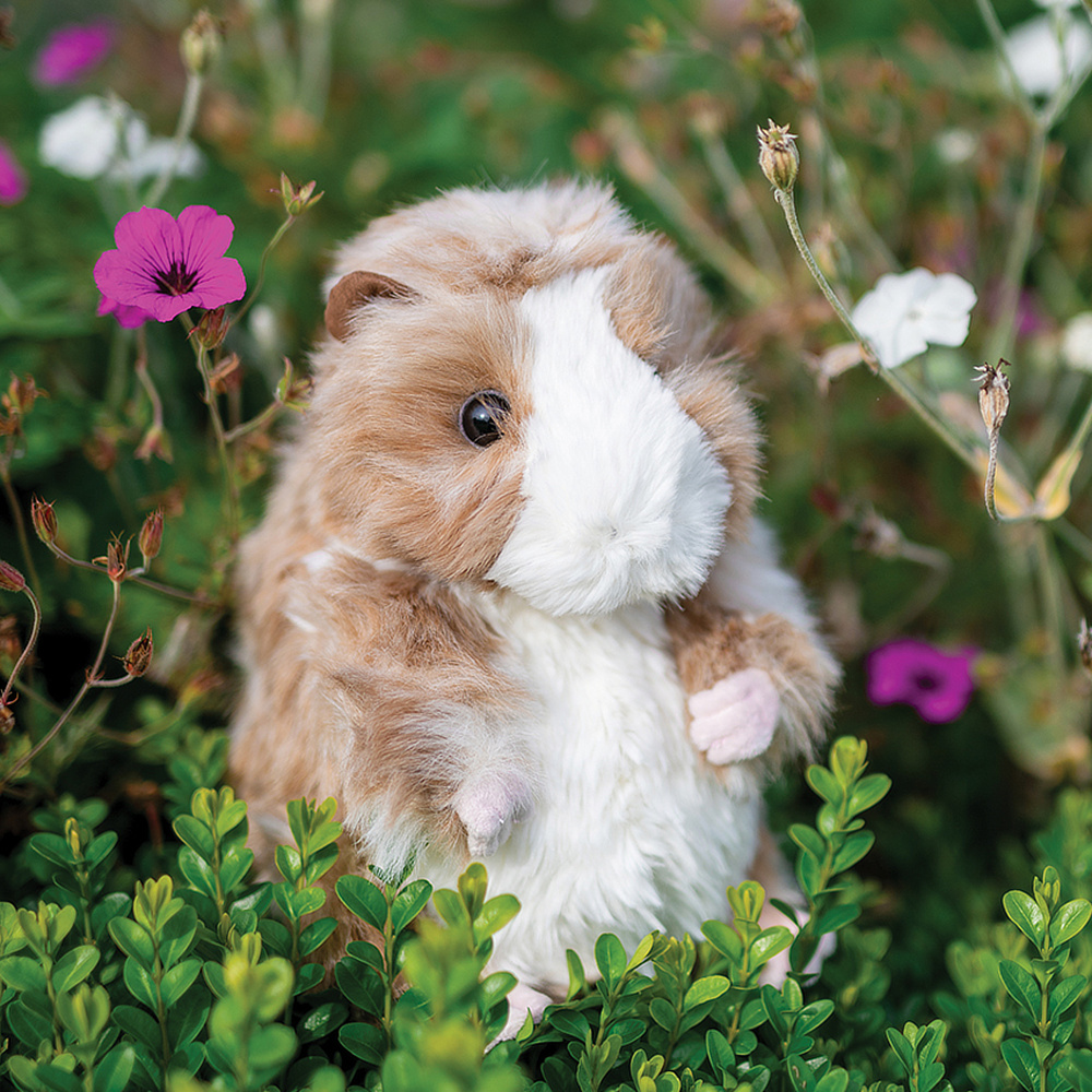 Wrendale knuffel - Cavia, 25 cm - Afbeelding 2