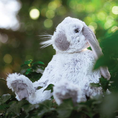 Wrendale Plüschtier - Kaninchen, 18 cm