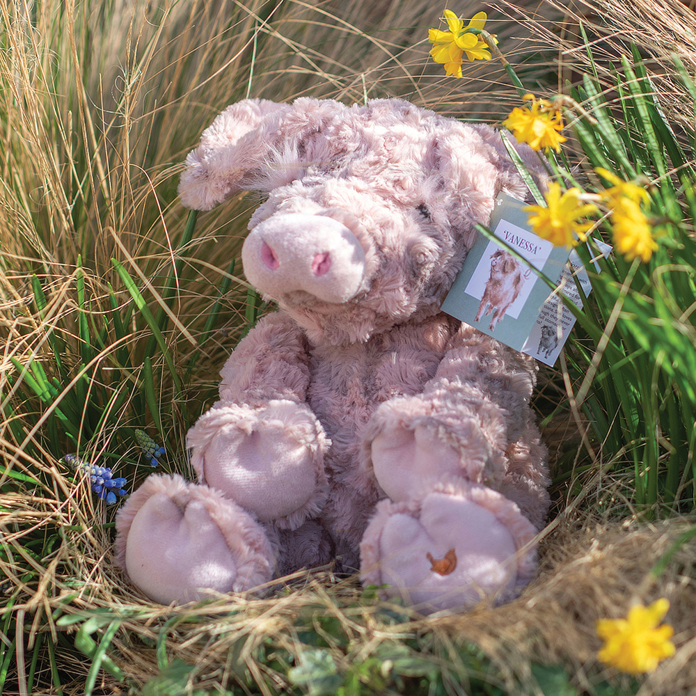 Wrendale knuffel - Varken, 24 cm - Afbeelding 2