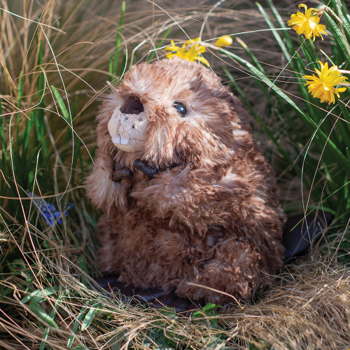 Wrendale Plüschtier - Biber, 19 cm