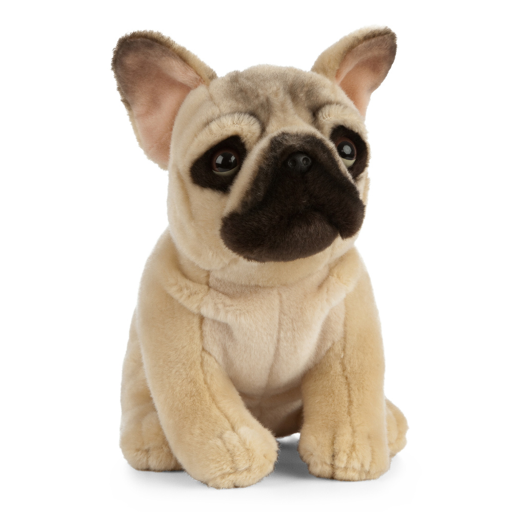 Living Nature Plüschtier – Französische Bulldogge, 24 cm - Bild 4