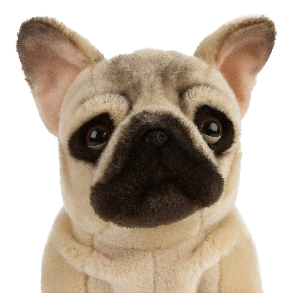 Living Nature knuffel - Franse bulldog, 24 cm - Afbeelding 2