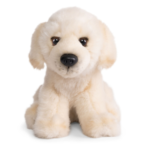 Living Nature Plüschtier - Golden Retriever Welpe, 16 cm