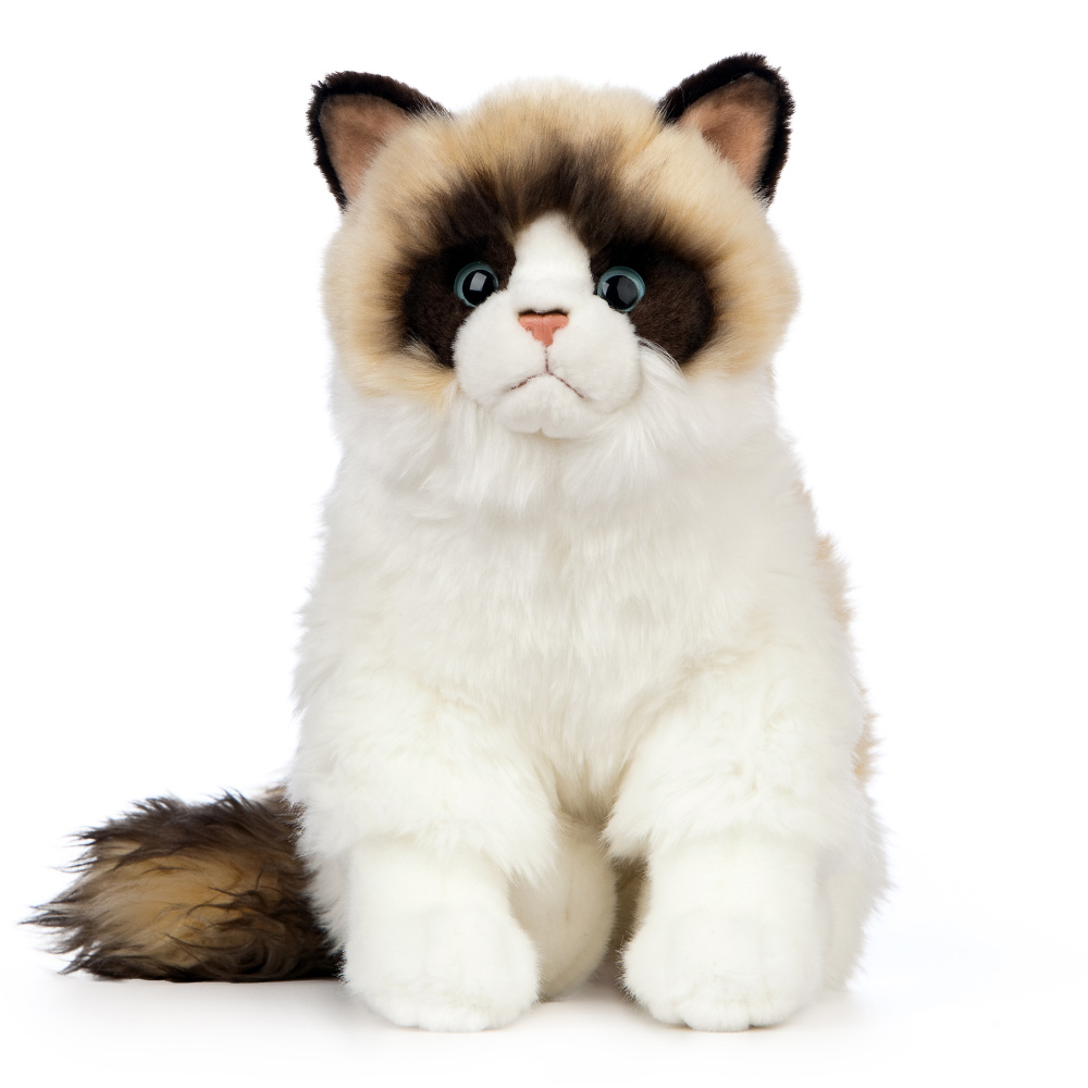 Living Nature knuffel - Ragdoll-kat, 25 cm - Afbeelding 2