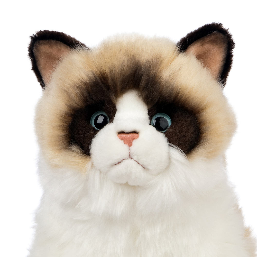 Living Nature knuffel - Ragdoll-kat, 25 cm - Afbeelding 4