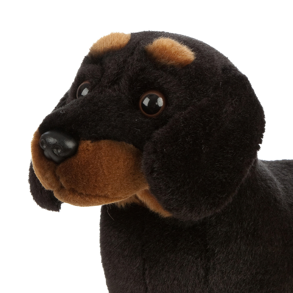 Living Nature knuffel - Teckel, 18 cm - Afbeelding 2