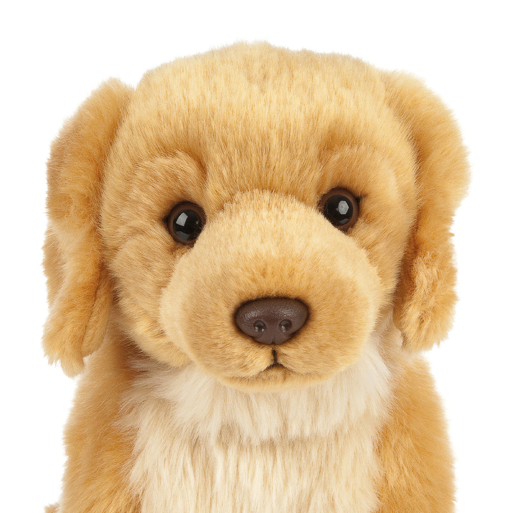 Living Nature plush toy - Golden Retriever, 20 cm - Image 2