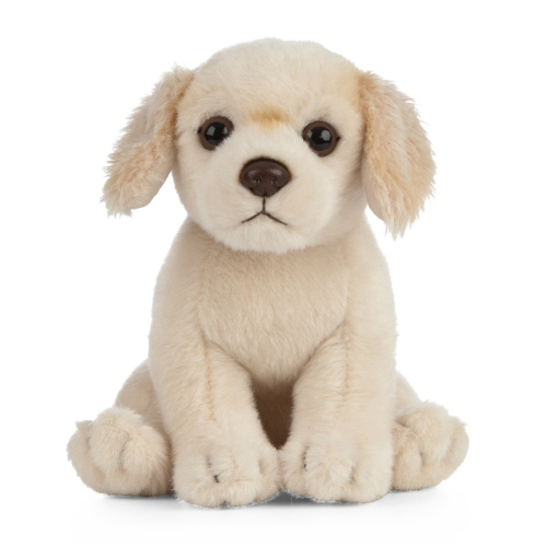 Living Nature Plüschtier - Golden-Retriever-Welpe, 17 cm