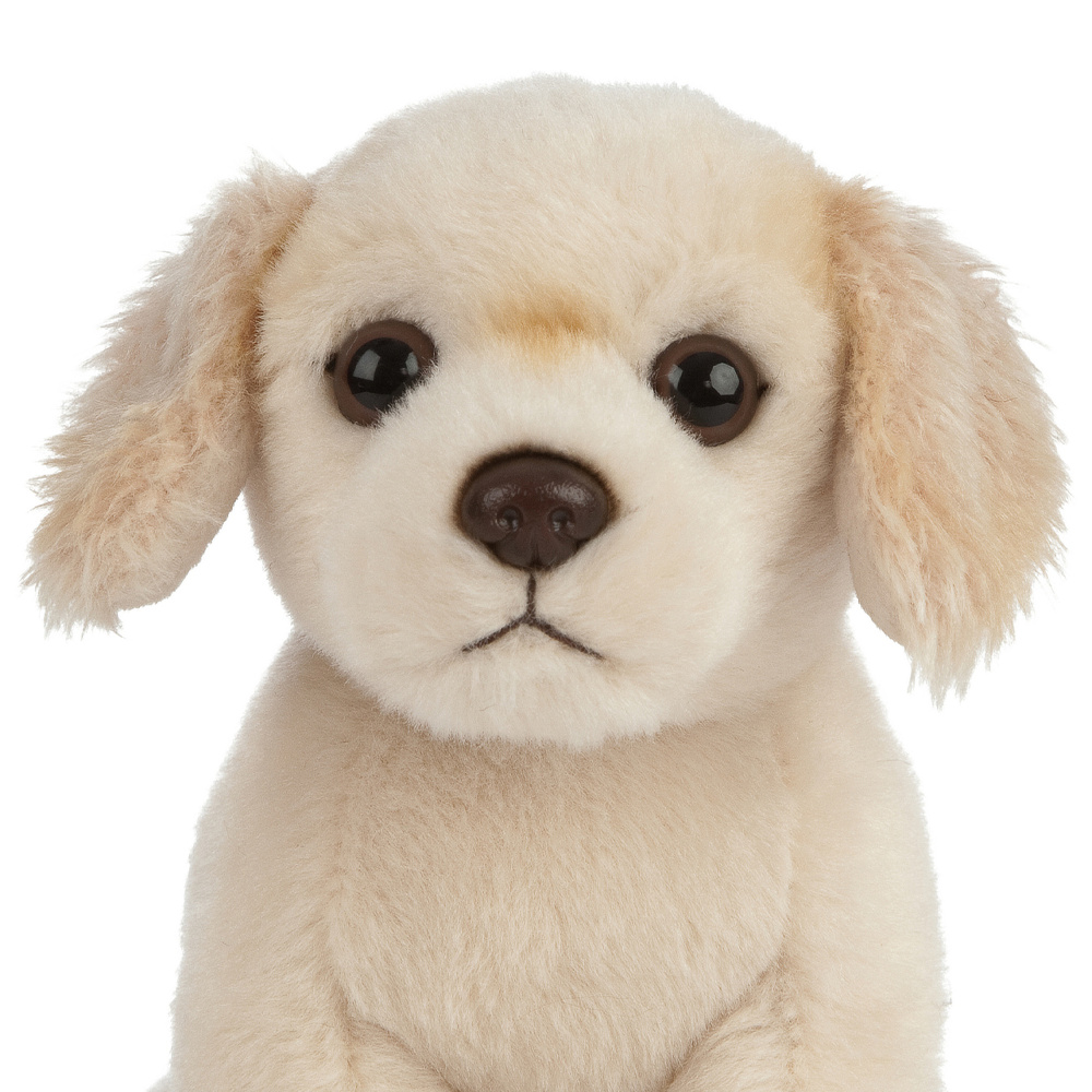 Living Nature plush toy - Golden Retriever puppy, 17 cm - Image 2