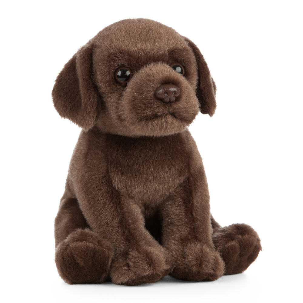 Living Nature plush toy - Labrador puppy, 16 cm - Image 3