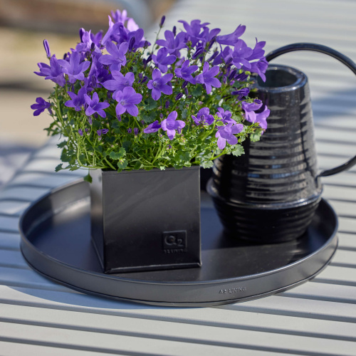 A2 Living plateau, Ø30 - Noir