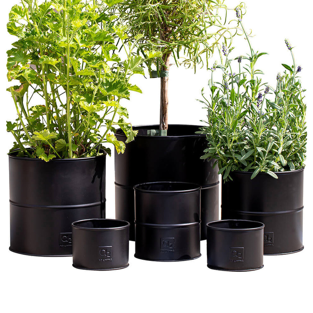 A2 Living Plant Pots, 6 pcs. - Black - Image 2