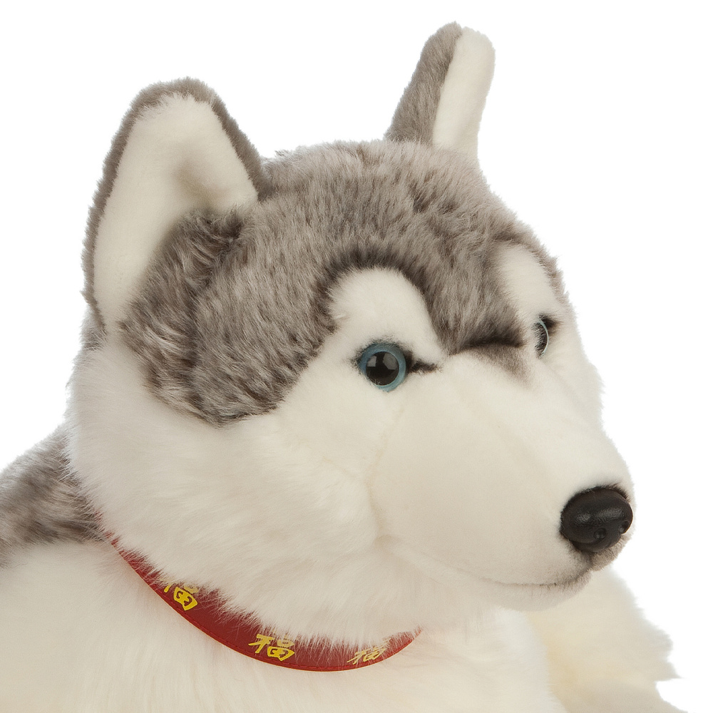 Living Nature plush toy - Siberian Husky, 36 cm - Image 4