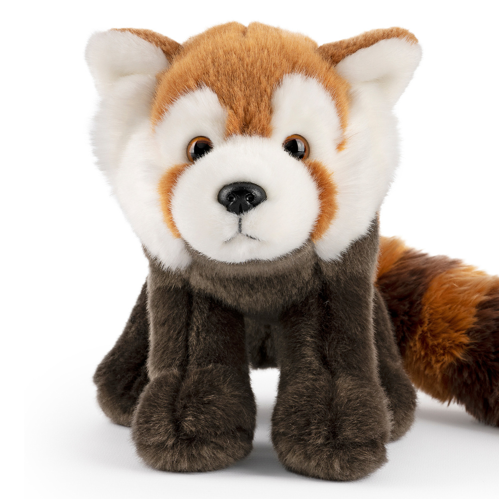 Living Nature Kuscheltier - Roter Panda, 20 cm - Bild 2