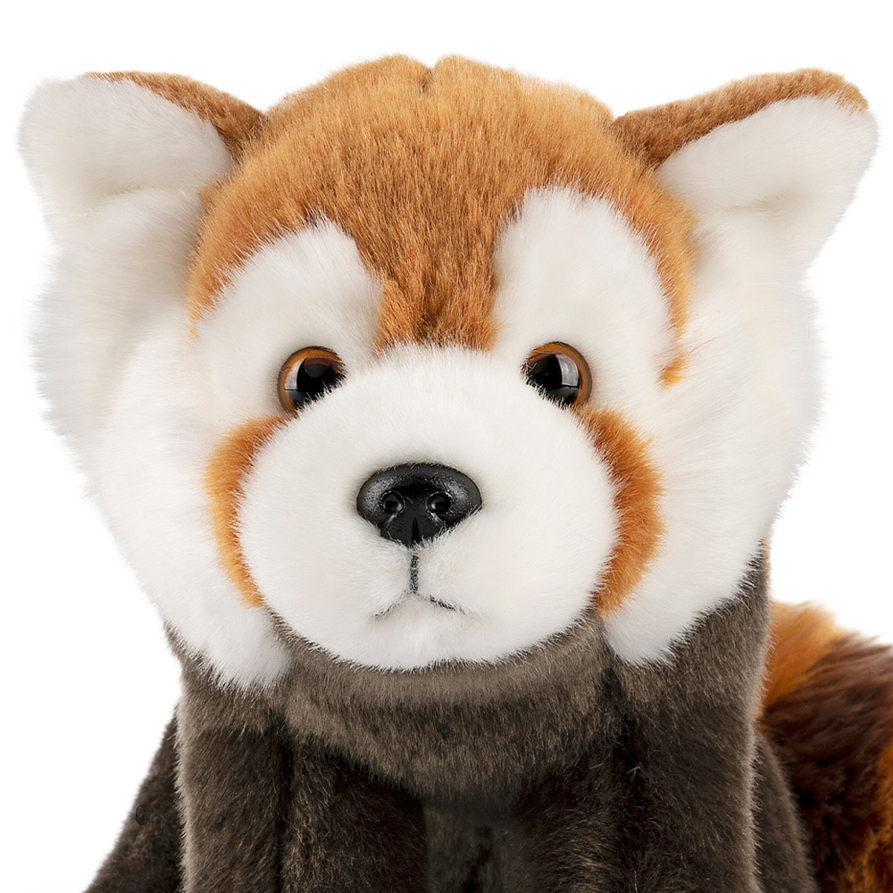 Living Nature knuffel - Rode panda, 20 cm - Afbeelding 3