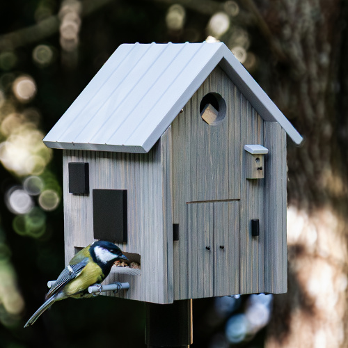 Wildlife Garden Vogelhaus und Futterautomat - Nordisch