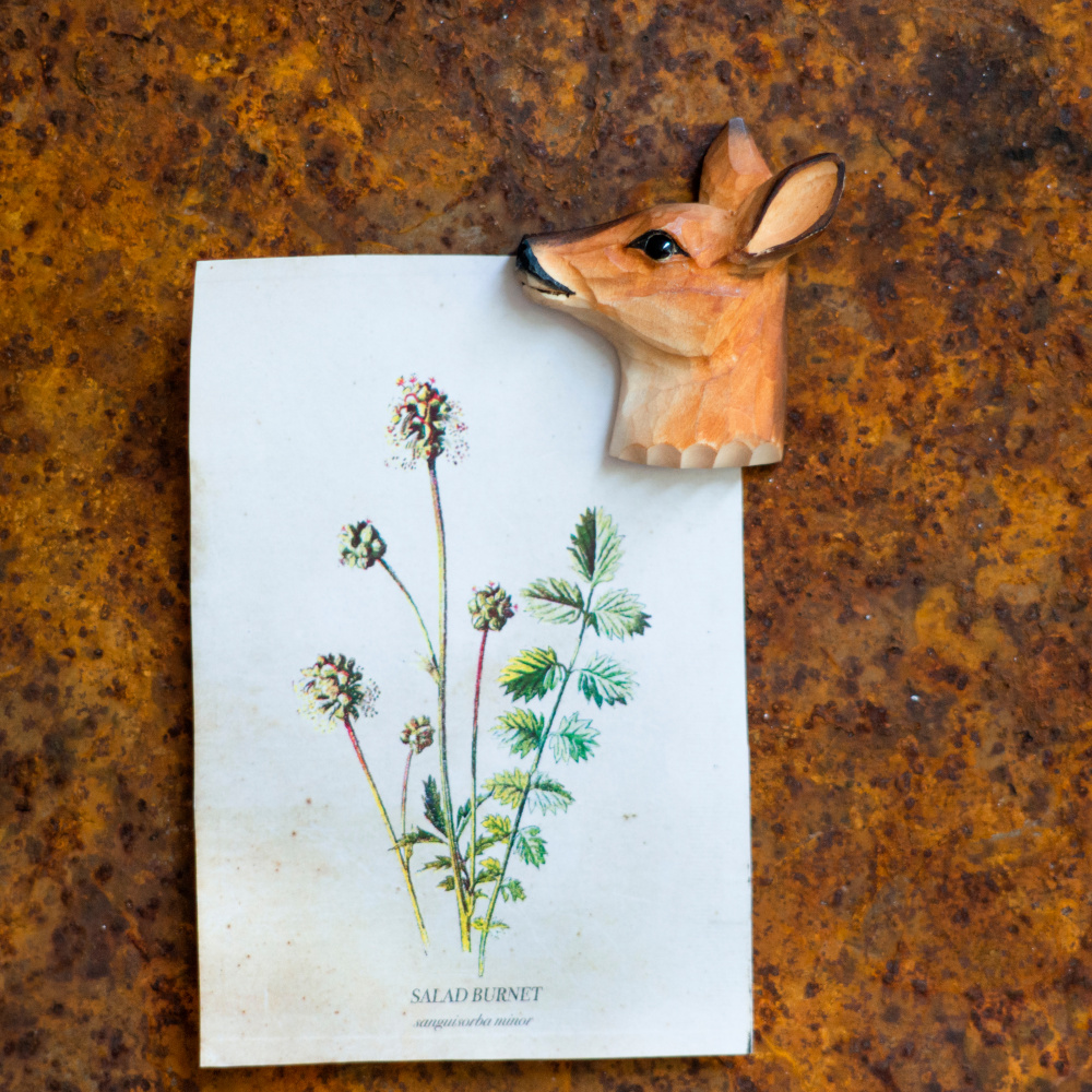 Wildlife Garden magneet - ree - Afbeelding 2