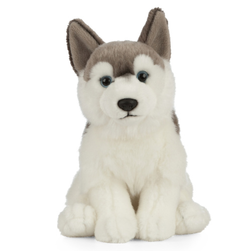 Living Nature mjukisdjur - Siberian Husky, 26 cm
