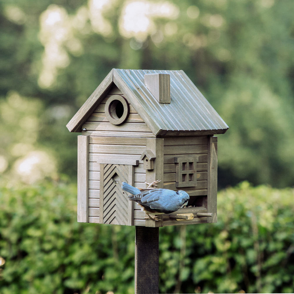 Wildlife Garden nichoir/mangeoire - Ombre verte - Image 3