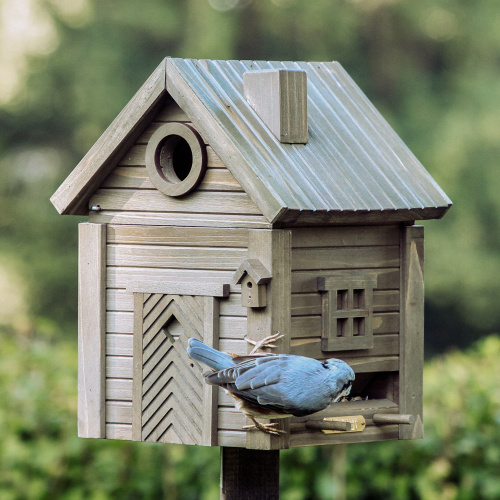 Wildlife Garden Vogelhaus/Futterspender - Umbra-Grün