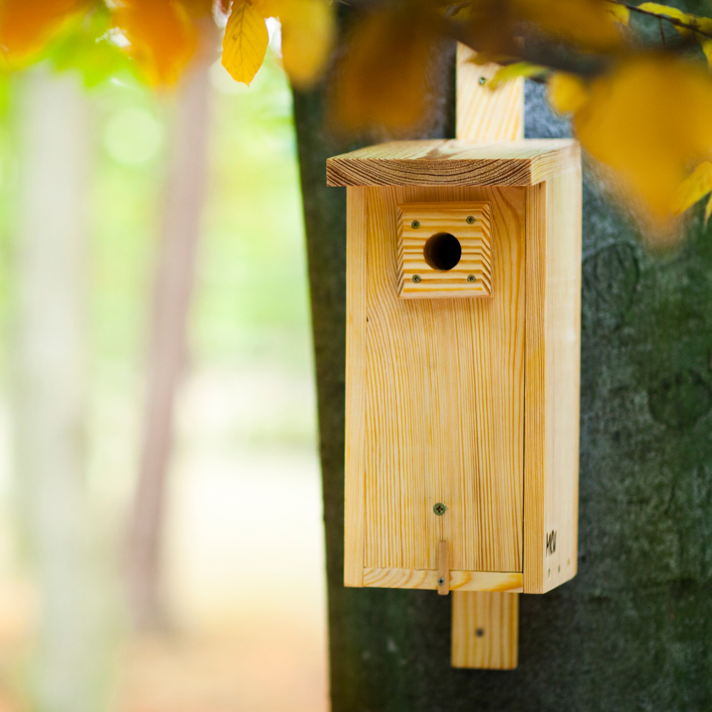 MKW wooden birdhouse for tits - Image 2