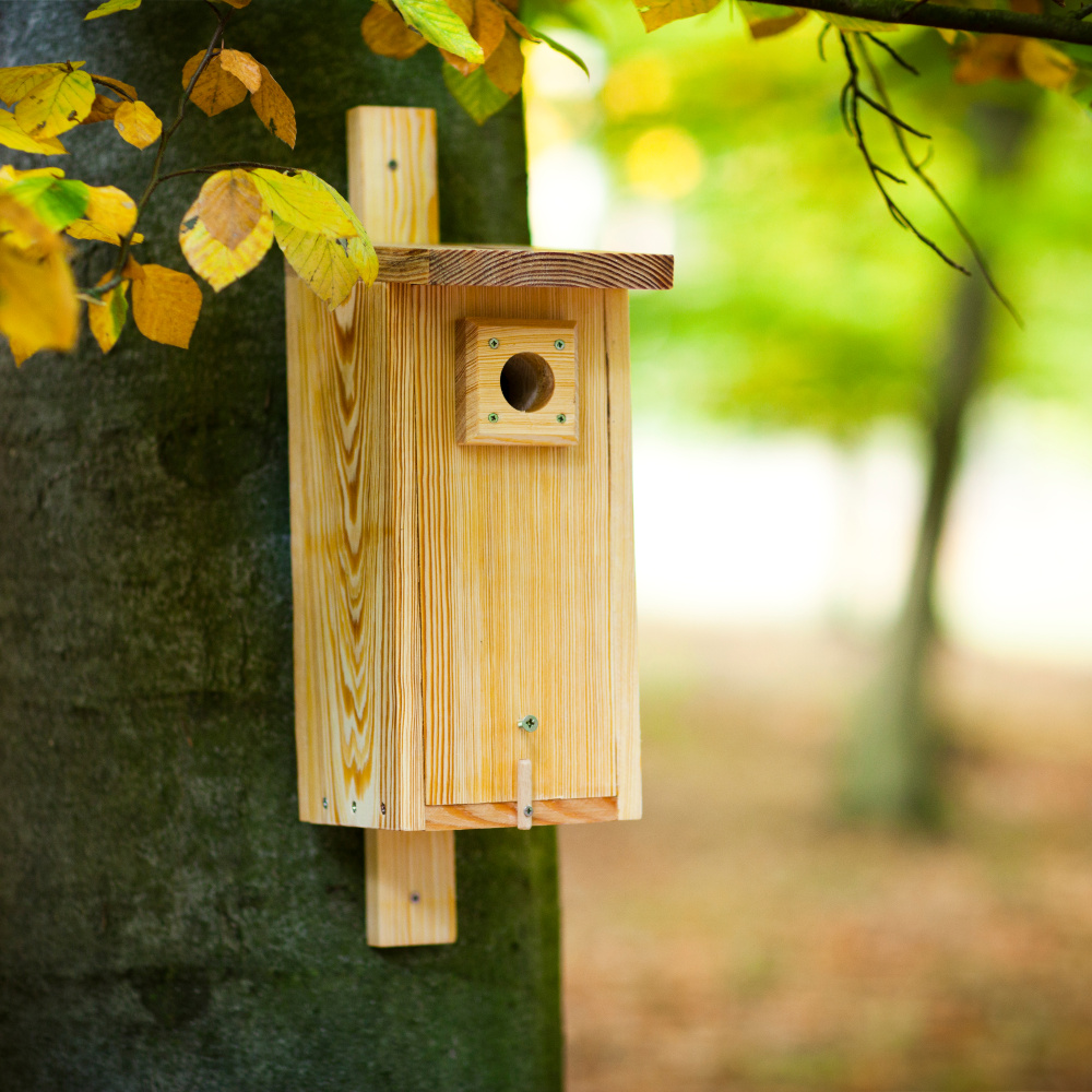 MKW wooden birdhouse for great tits - Image 6