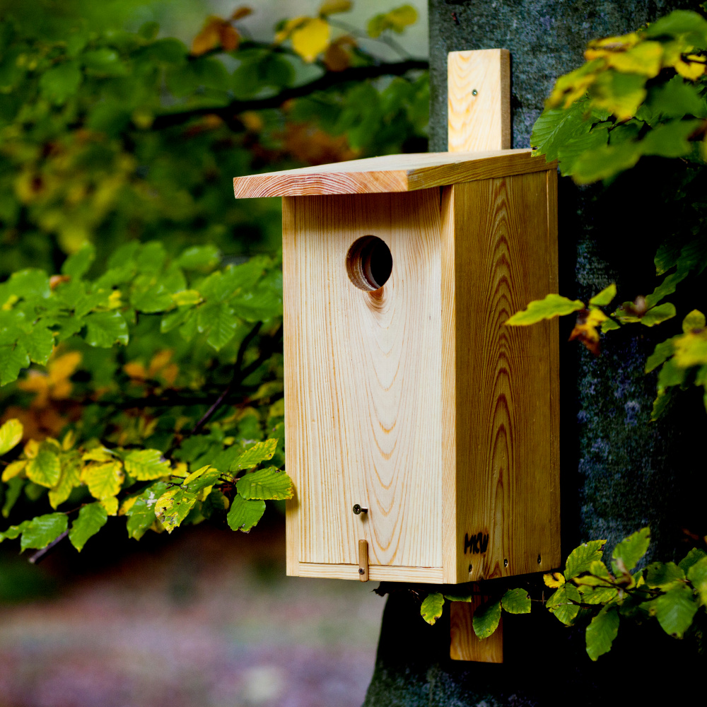 MKW Wooden Birdhouse for Starlings - Image 6
