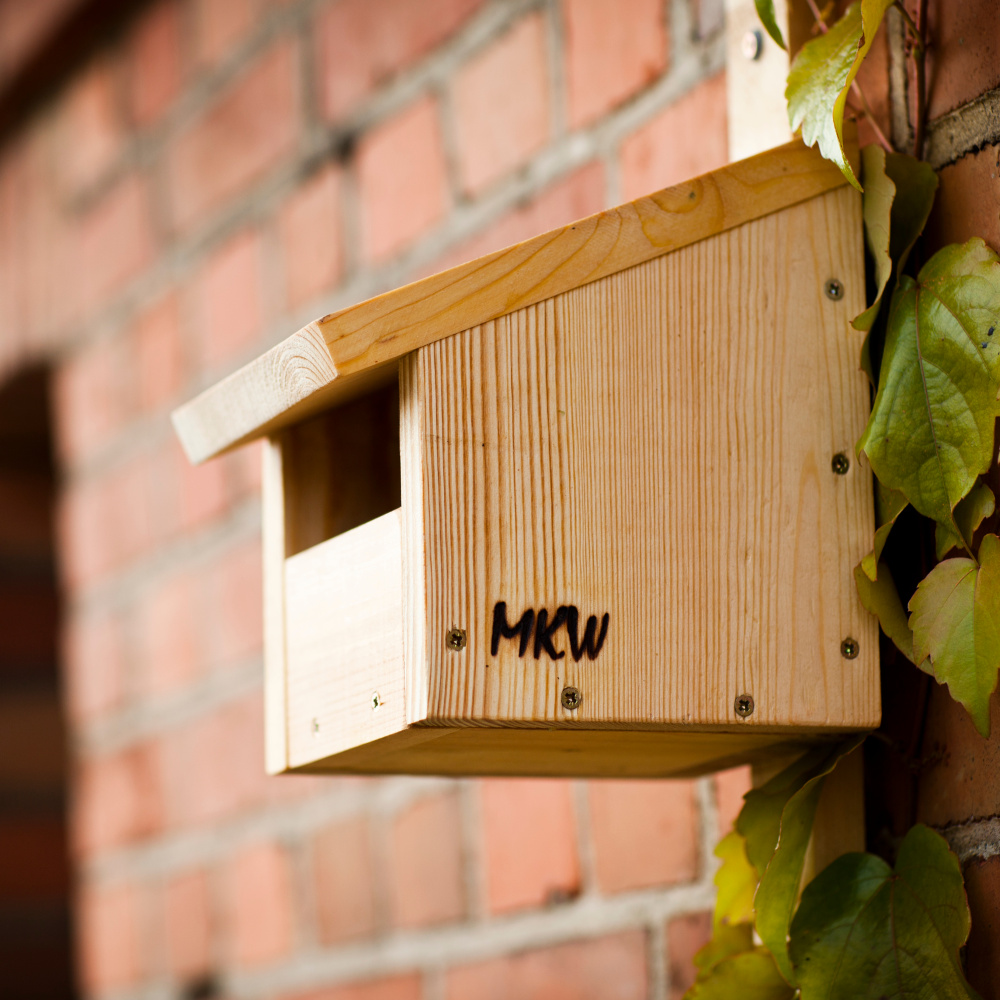 MKW wooden birdhouse for blackbirds - Image 2