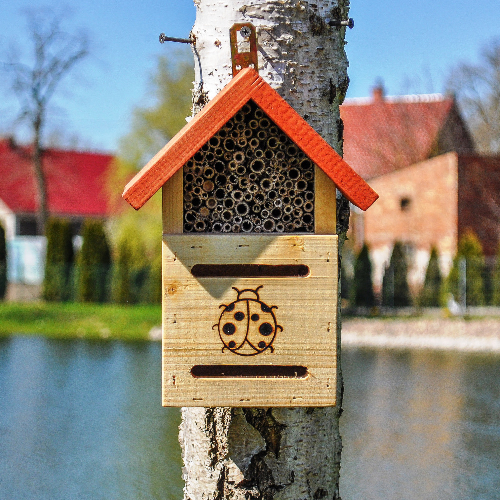 MKW maison à coccinelles en bois - Image 4