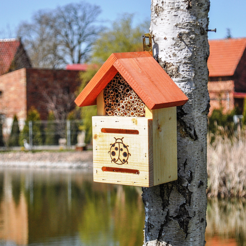 MKW maison à coccinelles en bois - Image 2