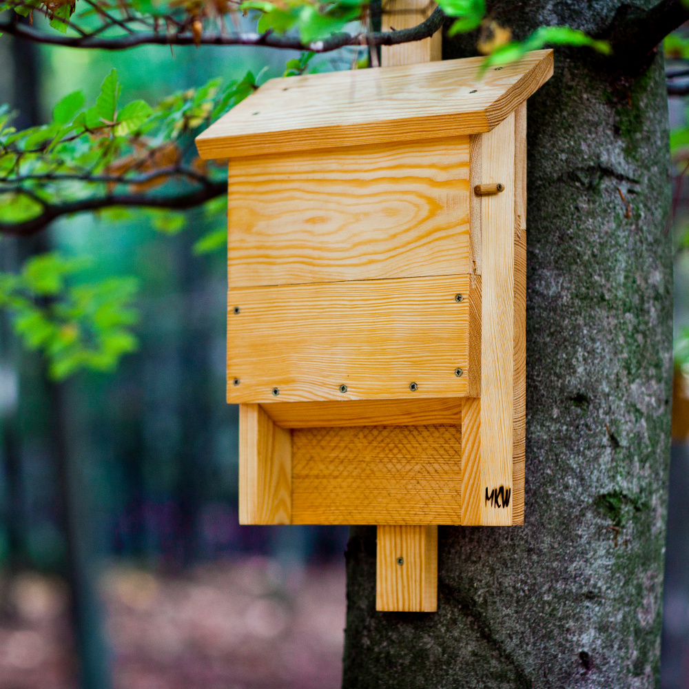 MKW bat box - Image 2