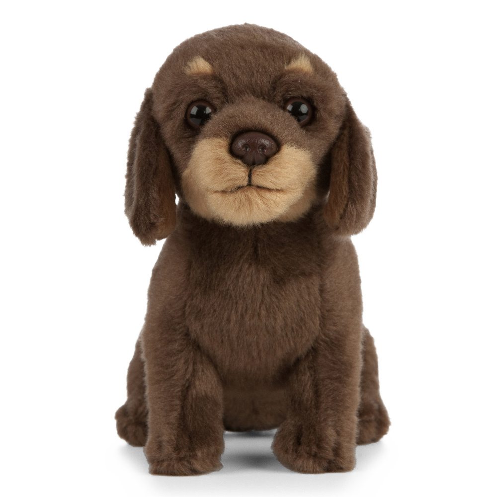 Living Nature peluche - teckel, 15 cm - Image 2