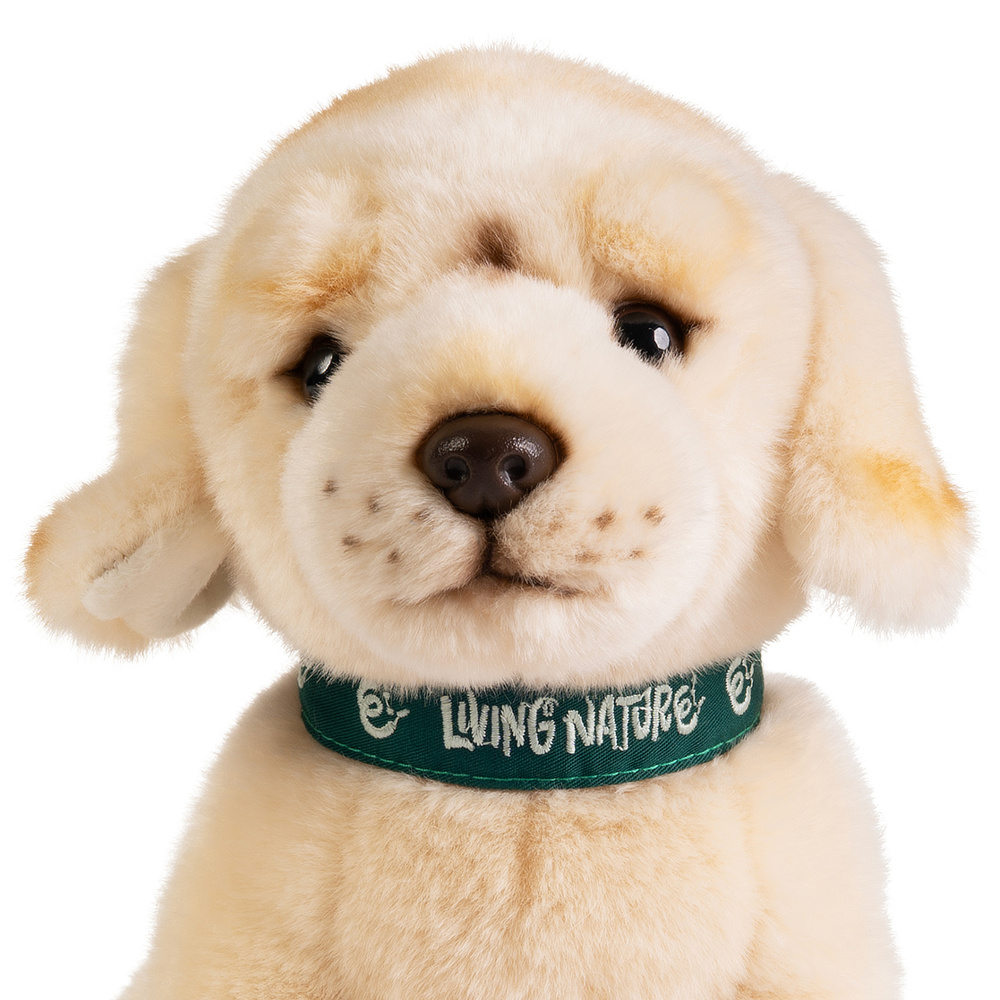 Living Nature plush toy - Golden Retriever puppy, 24 cm - Image 2