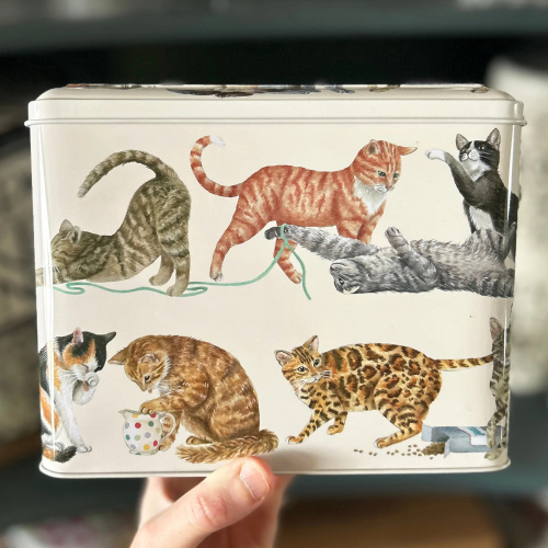 Elite Tins Aufbewahrungsdose - Katzen