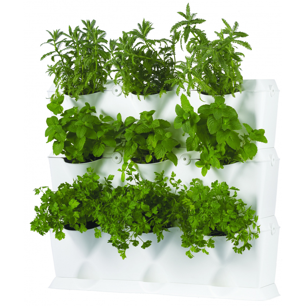 Minigarden Verticale plantenwand - groen - Afbeelding 3
